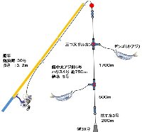 n}`EEqނd|